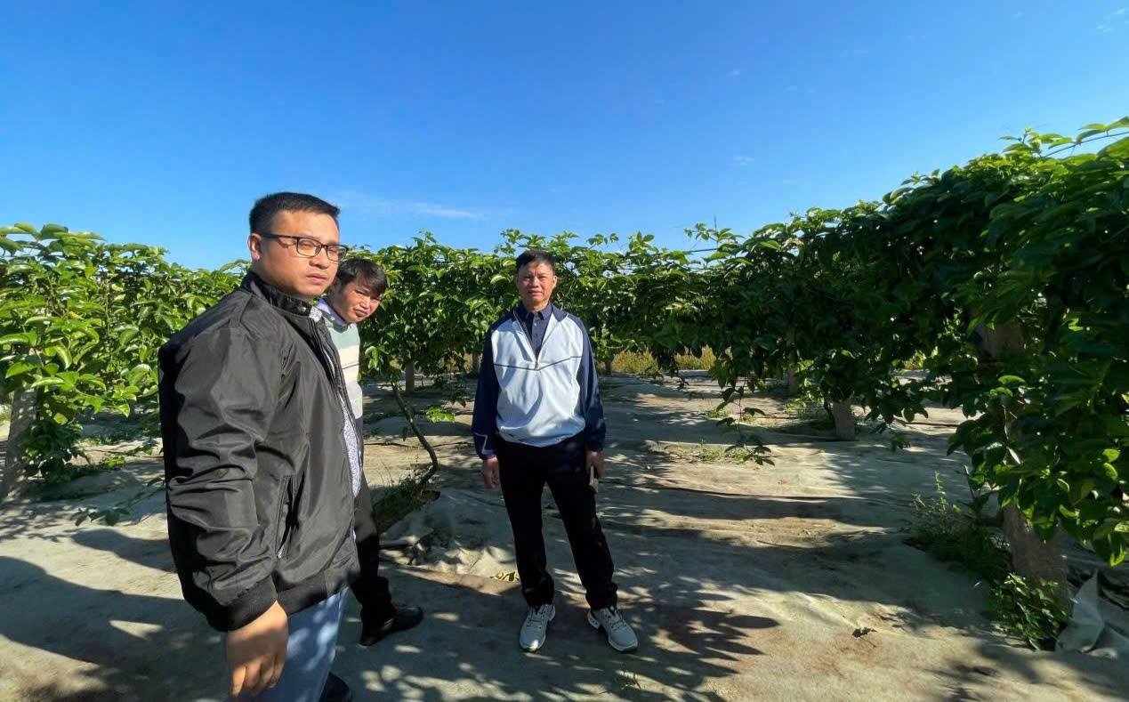 Я верю тебе